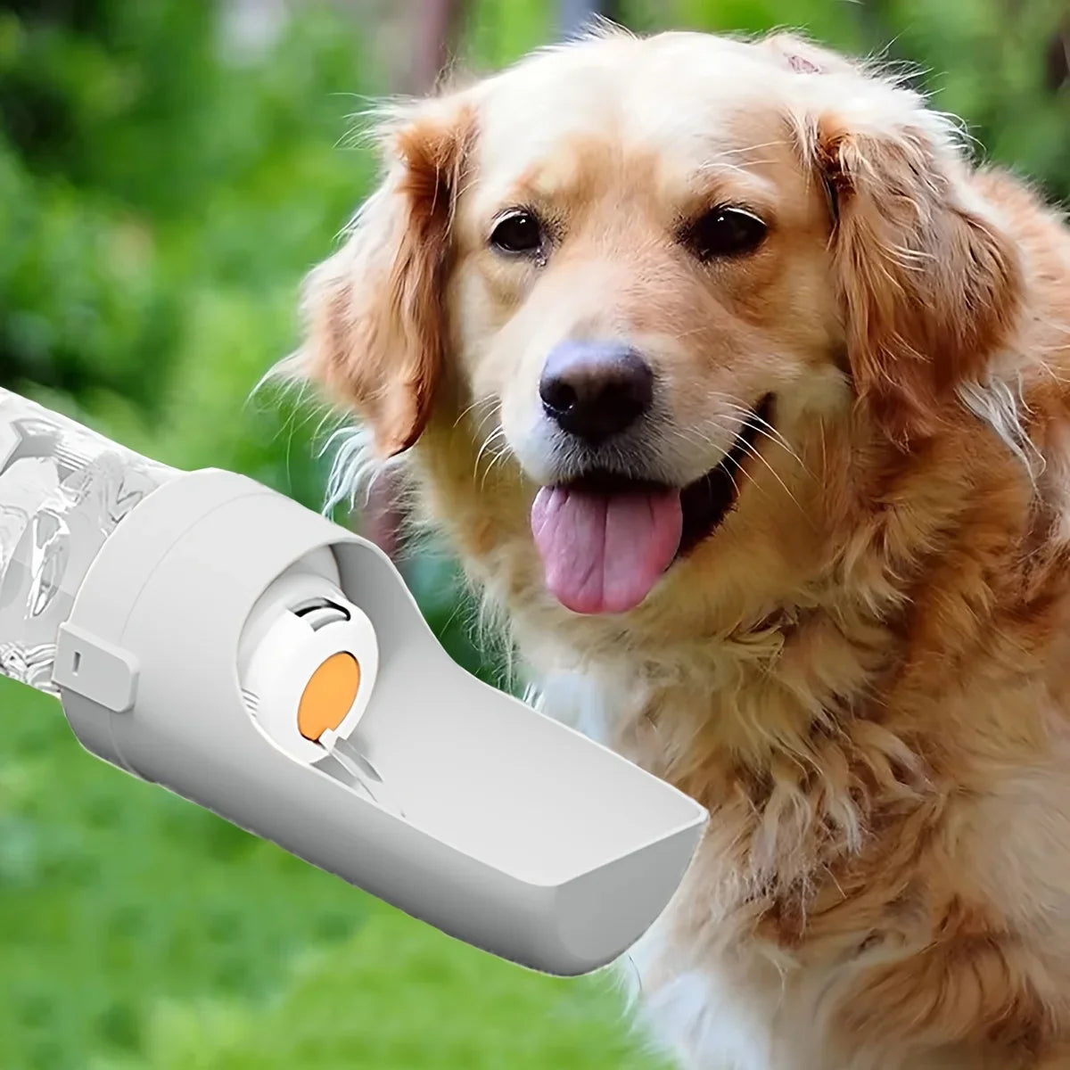 Portable Dog Water Bottle with Food Container